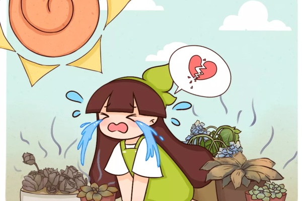19万买的花,一个夏天全死光,咋办? 19万买的花,一个夏天全死光,咋办?