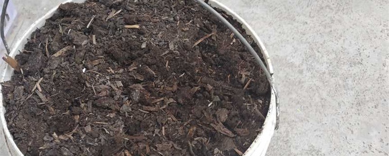 花盆土太湿怎么干的快 花盆土太湿怎么干的快
