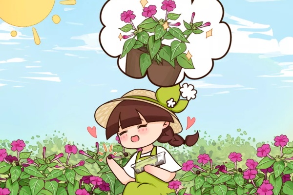 这花性子急,手一碰就爆炸,黑豆子掉土里,冒出100盆! 这花性子急,手一碰就爆炸,黑豆子掉土里,冒出100盆!
