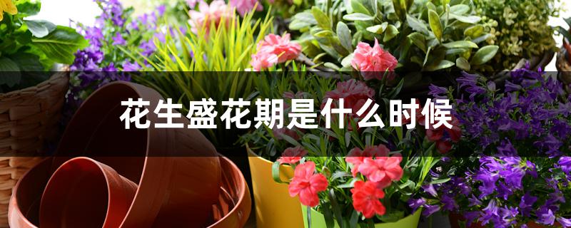 花生盛花期是什么时候 花生盛花期是什么时候