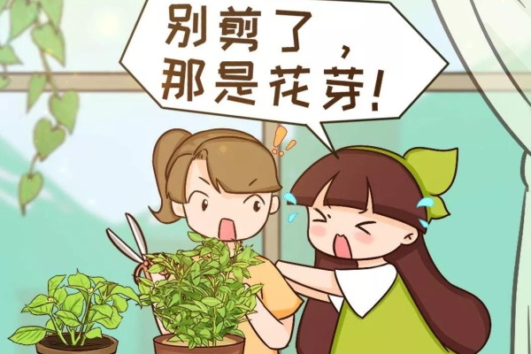 下个月开始,这10种花不能剪,剪了没花看,白养大半年! 下个月开始,这10种花不能剪,剪了没花看,白养大半年!