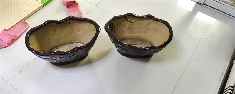 旧花盆怎么消毒 旧花盆怎么消毒