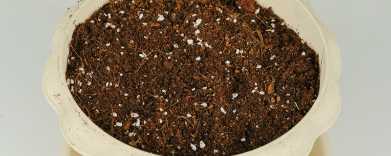 种菜前怎么对土壤杀虫 种菜前怎么对土壤杀虫