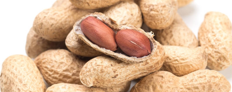 花生播种方法 花生播种方法