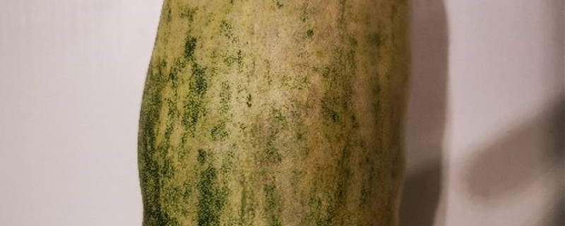羊角蜜种植方法 羊角蜜种植方法