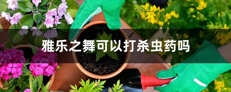 雅乐之舞可以打杀虫药吗 雅乐之舞可以打杀虫药吗