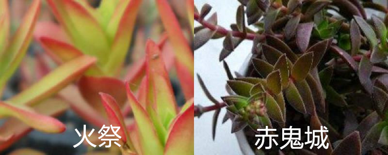 火祭和赤鬼城的区别 火祭和赤鬼城的区别