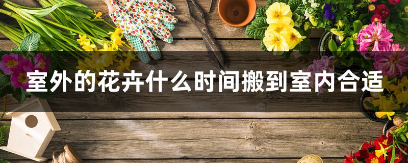 室外的花卉什么时间搬到室内合适 室外的花卉什么时间搬到室内合适