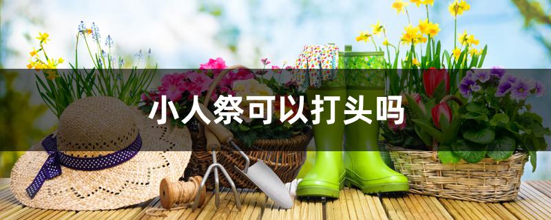 小人祭可以打头吗 小人祭可以打头吗