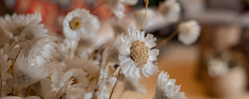 鲜花怎么做成干花 鲜花怎么做成干花