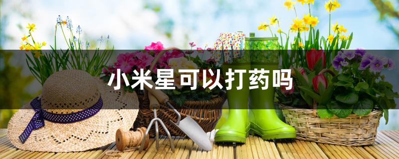 小米星可以打药吗 小米星可以打药吗
