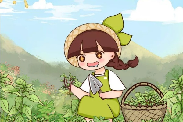 农村喂猪的草,现在成了“圣”花,遇到就是宝! 农村喂猪的草,现在成了“圣”花,遇到就是宝!