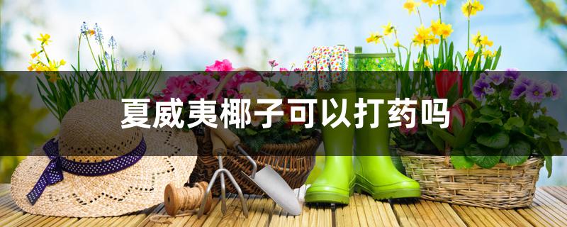 夏威夷椰子可以打药吗 夏威夷椰子可以打药吗