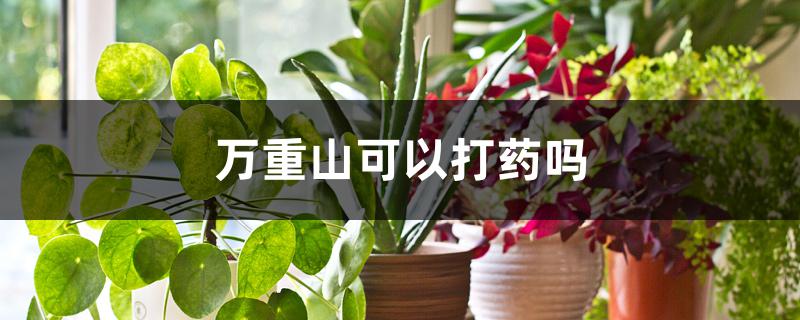 万重山可以打药吗 万重山可以打药吗