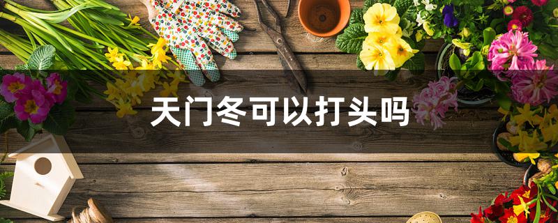 天门冬可以打头吗 天门冬可以打头吗