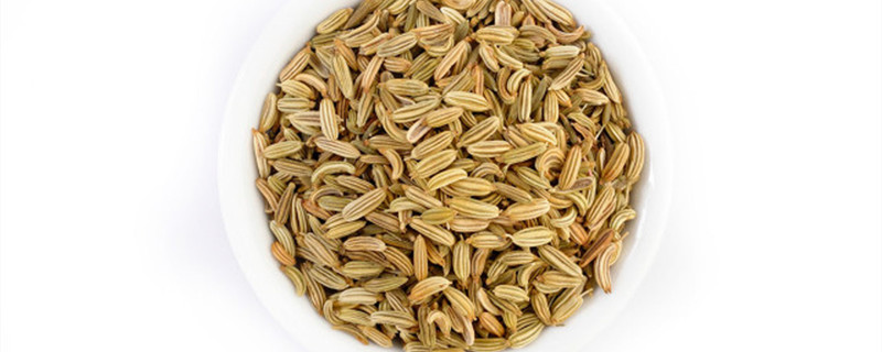 菜子怎样种,撒下去要盖土吗 菜子怎样种,撒下去要盖土吗