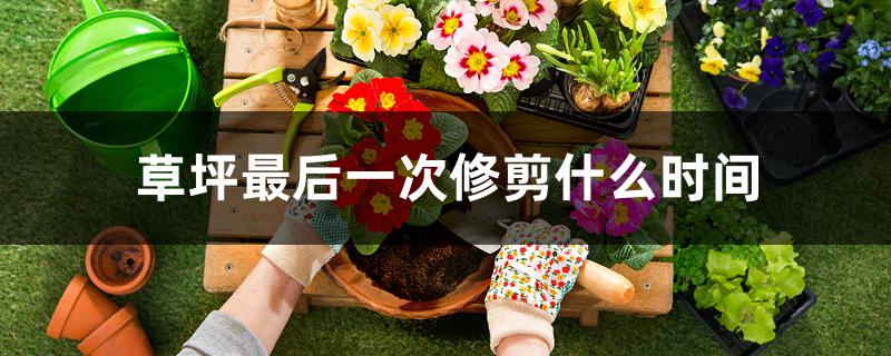草坪最后一次修剪什么时间 草坪最后一次修剪什么时间
