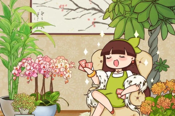 穷人别养这花,300块一棵,到家7天就死! 穷人别养这花,300块一棵,到家7天就死!