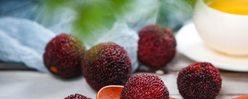 杨梅核怎么培植发芽,还有什么繁殖方法 杨梅核怎么培植发芽,还有什么繁殖方法