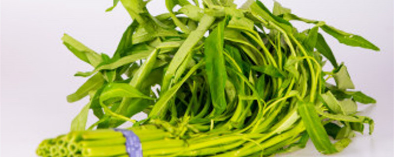 北方五月份种什么蔬菜,冬天适合种什么蔬菜 北方五月份种什么蔬菜,冬天适合种什么蔬菜