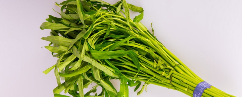 阳台水培空心菜的种植方法,注意事项是什么 阳台水培空心菜的种植方法,注意事项是什么