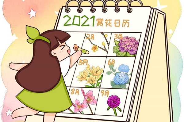 有品位的人都养它,叶似松,花像红梅,太富贵! 有品位的人都养它,叶似松,花像红梅,太富贵!