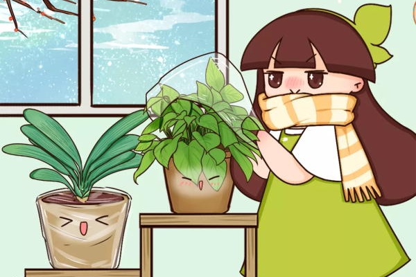 10种花的缺水信号,看到赶紧浇,不然3天必死 10种花的缺水信号,看到赶紧浇,不然3天必死