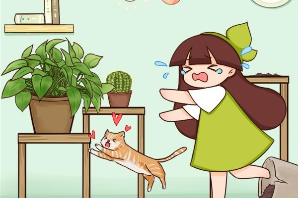 家里有猫有狗,养这花就要小心,啃一口会中毒 家里有猫有狗,养这花就要小心,啃一口会中毒