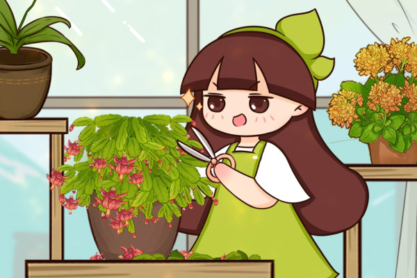 冬天养的花,开完后从这里剪,还能再开几次 冬天养的花,开完后从这里剪,还能再开几次