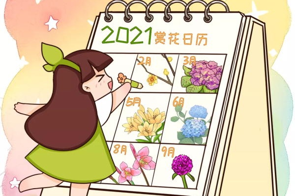 2021赏花日历,看好这一篇,不会错过花期~ 2021赏花日历,看好这一篇,不会错过花期~