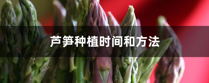 芦笋种植时间和方法 芦笋种植时间和方法
