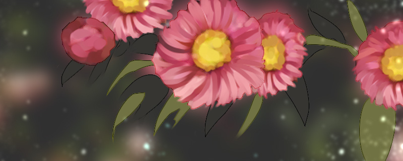 鳞托菊的花语 鳞托菊的花语