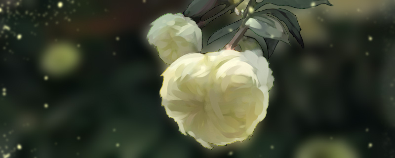 荼蘼的花语和寓意 荼蘼的花语和寓意