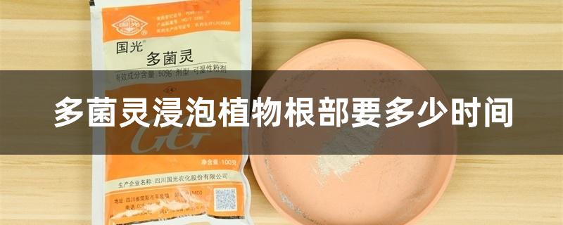 多菌灵浸泡植物根部要多少时间,使用注意事项 多菌灵浸泡植物根部要多少时间,使用注意事项