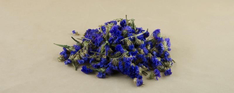 蓝色勿忘我花语 蓝色勿忘我花语