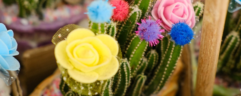 万重山花语 万重山花语