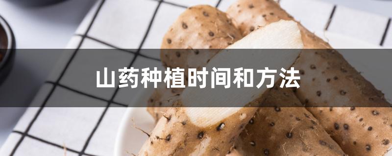 山药种植时间和方法 山药种植时间和方法