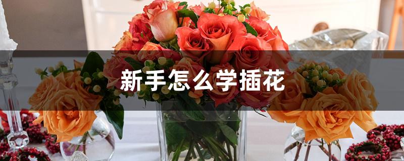 新手怎么学插花 新手怎么学插花