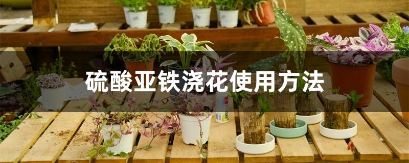 硫酸亚铁浇花使用方法 硫酸亚铁浇花使用方法
