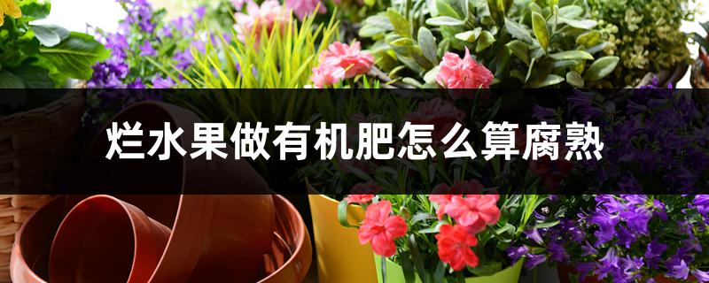 烂水果做有机肥怎么算腐熟 烂水果做有机肥怎么算腐熟