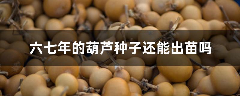 六七年的葫芦种子还能出苗吗 六七年的葫芦种子还能出苗吗