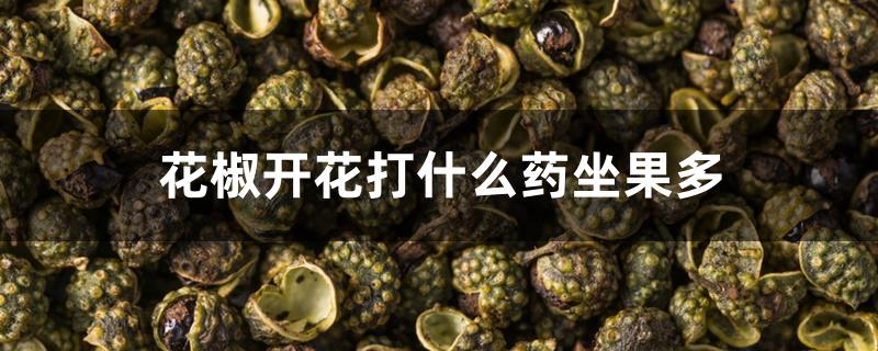 花椒开花打什么药坐果多 花椒开花打什么药坐果多