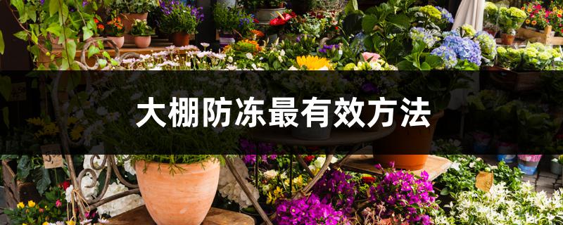 大棚防冻最有效方法 大棚防冻最有效方法