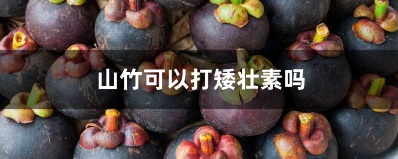 山竹可以打矮壮素吗 山竹可以打矮壮素吗