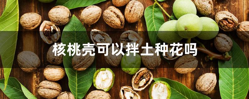 核桃壳可以拌土种花吗 核桃壳可以拌土种花吗