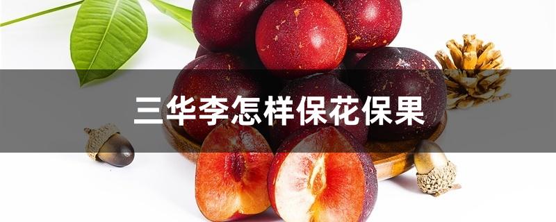 三华李怎样保花保果 三华李怎样保花保果