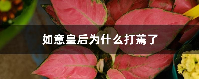 如意皇后为什么打蔫了 如意皇后为什么打蔫了
