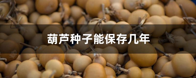 葫芦种子能保存几年 葫芦种子能保存几年