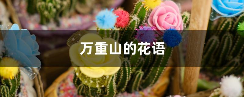 万重山的花语 万重山的花语