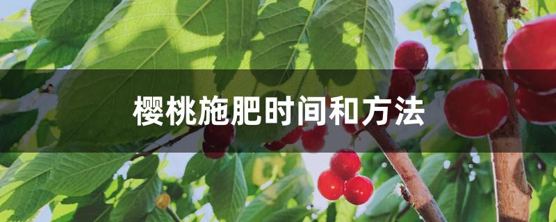 樱桃施肥时间和方法 樱桃施肥时间和方法